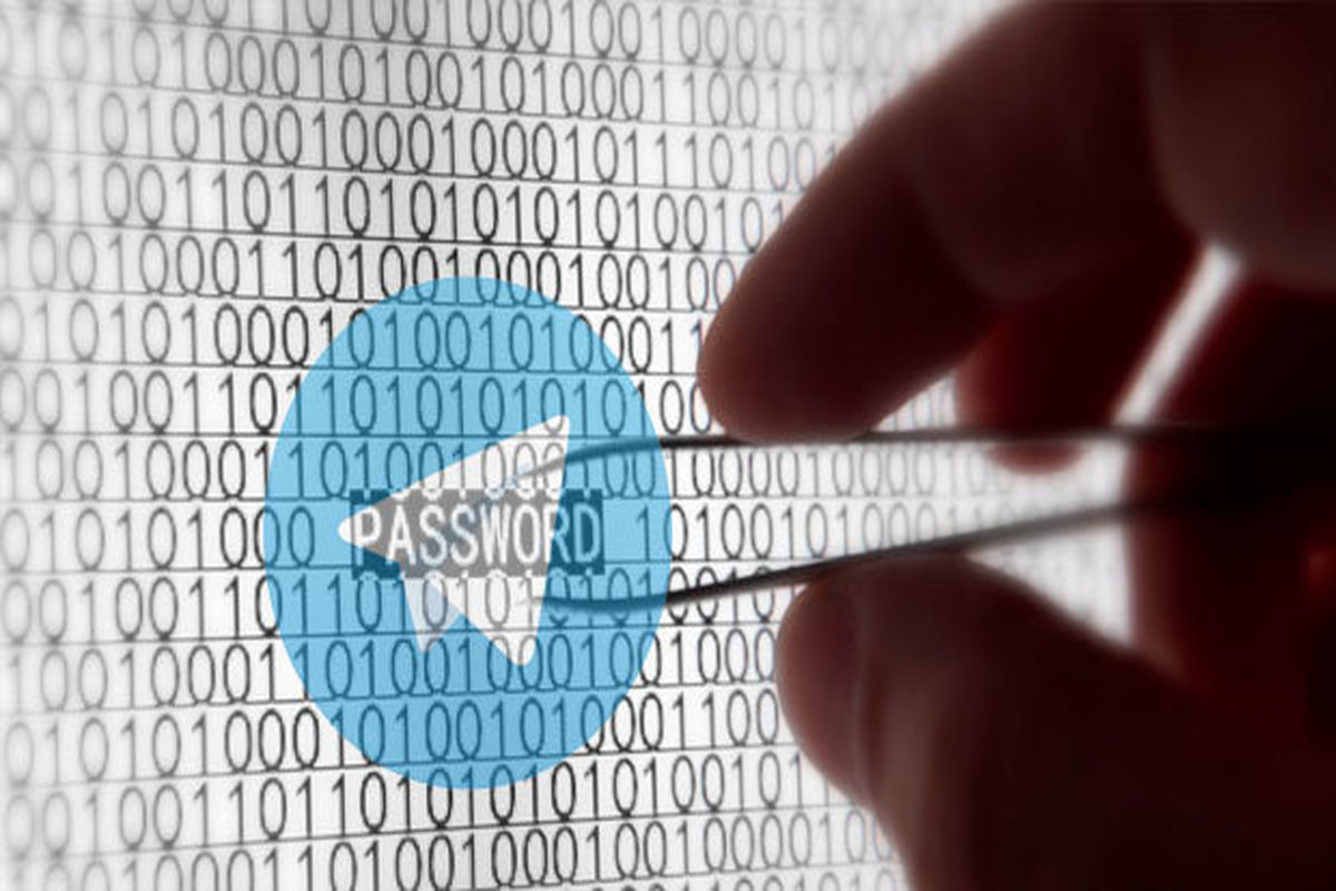 شبکه اجتماعی