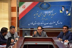 ضرورت اجرای اصول فنی و مدیریتی در پروژه‌های صنعتی فارس