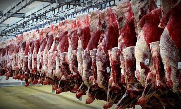 چه کسانی مانع از کاهش قیمت گوشت قرمز شده اند؟