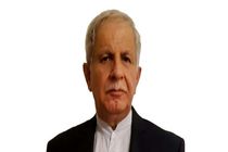 معضلات کشور ریشه در عدم‌توسعه سیاسی و نهادسازی دارد 