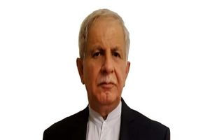 معضلات کشور ریشه در عدم‌توسعه سیاسی و نهادسازی دارد 