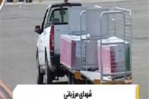 عذرخواهی سخنگوی ناجا درباره انتقال اجساد شهدای مرزبانی