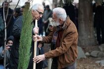 بخش «درخت زرین» جشنواره تجسمی فجر به سرو چهار هزار ساله ابرکوه تقدیم شد