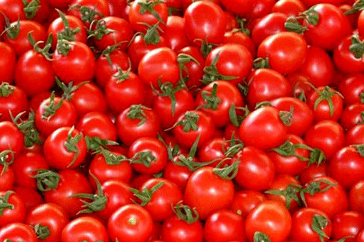 خواص گوجه