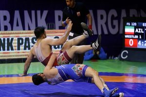 اعضای تیم ملی کشتی فرنگی مشخص شد