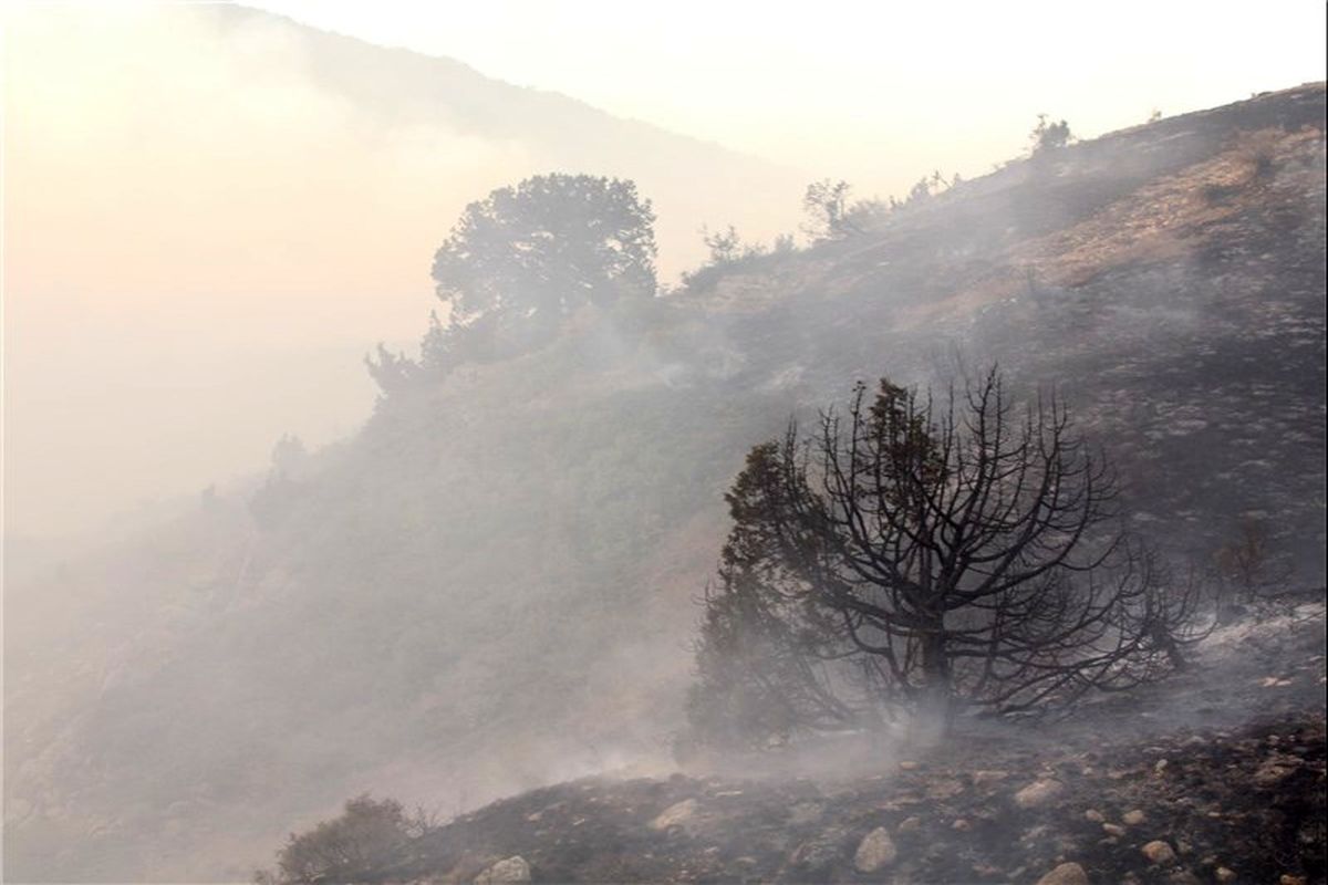 آتش در جنگل‌های شهرستان گالیکش