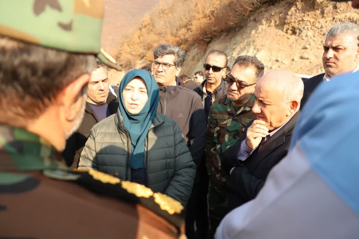 شینا انصاری معاون رئیس جمهور