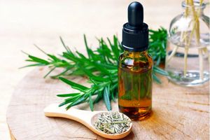 صادرات 8 میلیون دلاری انواع فرآورده‌های گیاهان دارویی/اجرای کامل سند ملی گیاهان دارویی