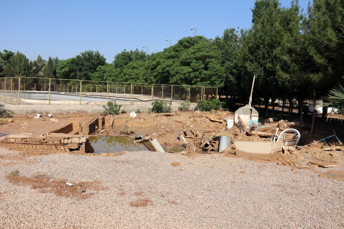 دانشگاه یزد