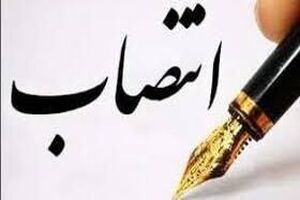 سرپرست معاونت اقتصادی و عمرانی استاندار منصوب شد