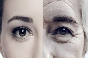 خواص روغن آرگان برای چروک صورت؛ اکسیر جوانی!