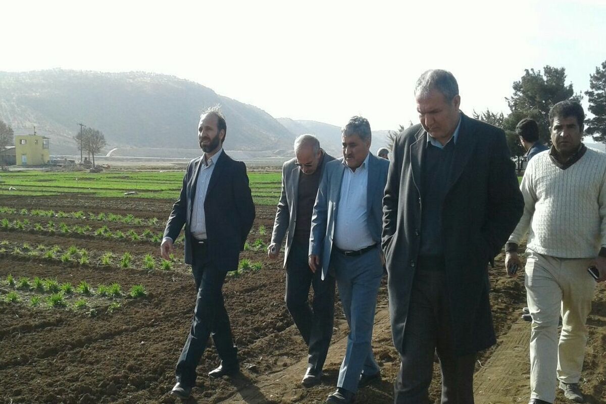 جهاد کشاورزی کرمانشاه