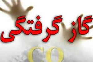گاز گرفتگی 2 نفر درشاهین شهر