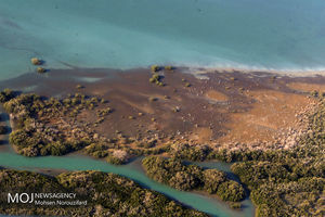 ادعای انتقال موشک‌ کوتاه برد ایران به خلیج فارس تکذیب شد