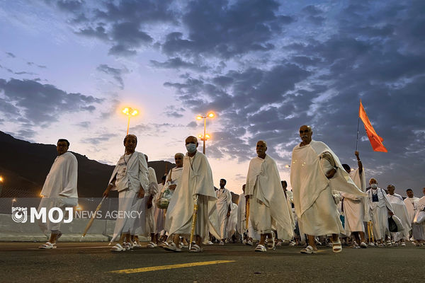 تأیید استطاعت جسمی بیش از ۹۲ درصد زائران حج تمتع ۱۴۰۵