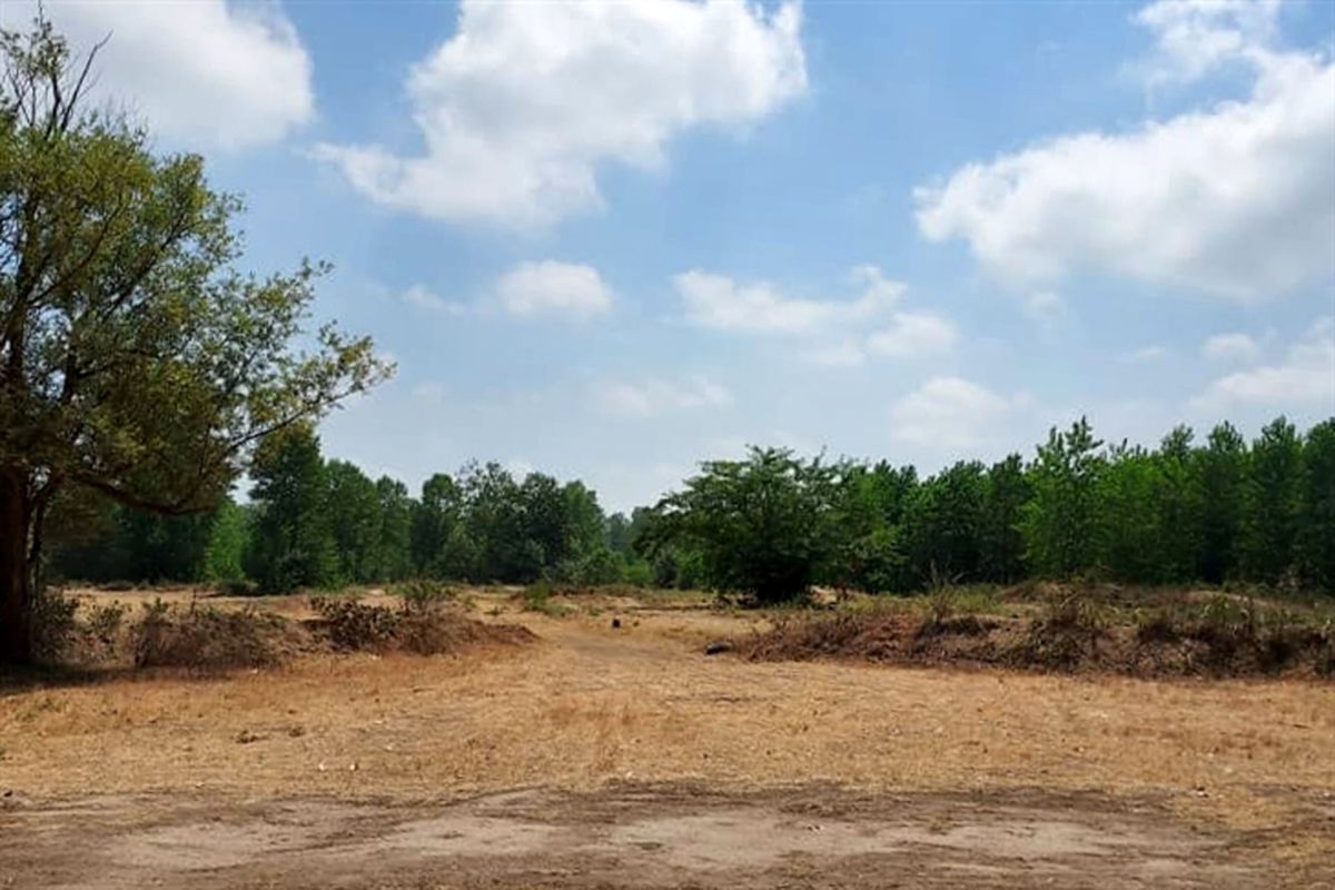 رفع-تصرف-زمین-استانه-اشرفیه