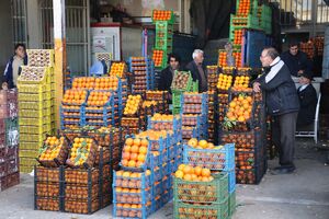 توسعه میدان‌ مرکزی میوه و تره‌ بار شیراز در دستور کار شهرداری است 