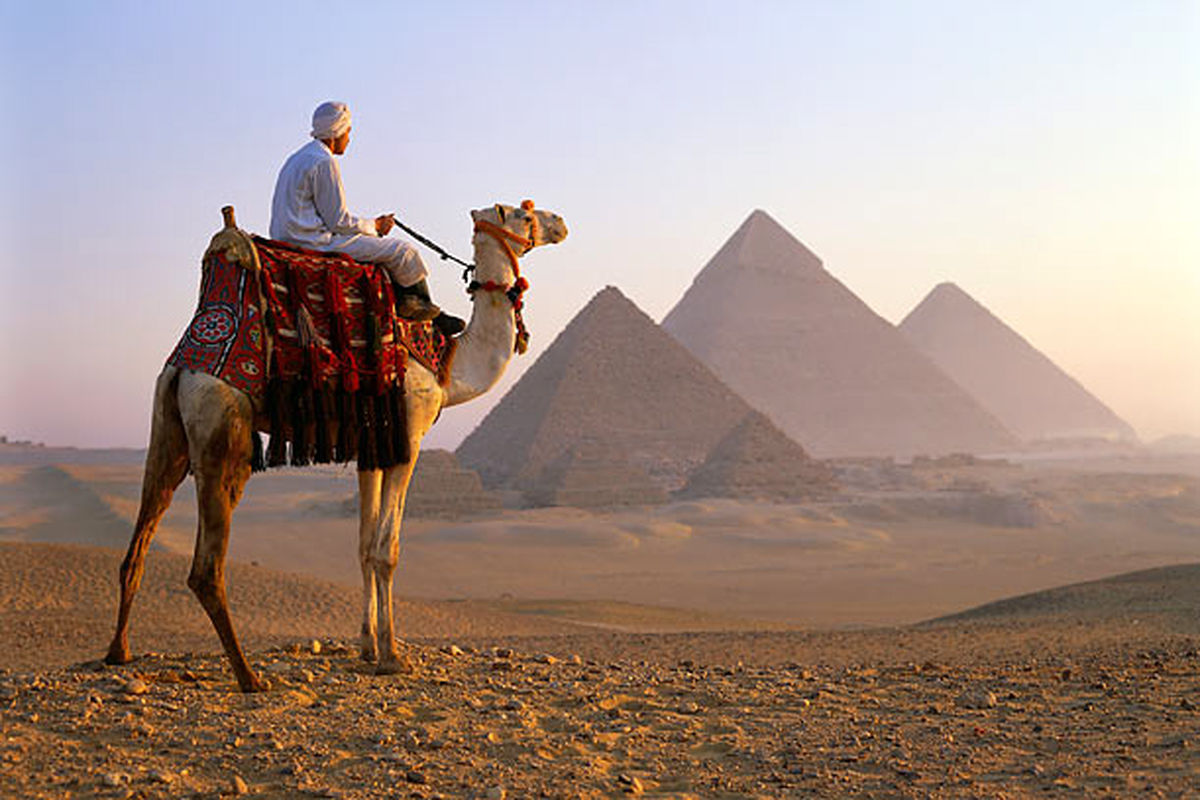 گردشگری با شتر