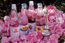 استقبال فرماندار کاشان از مسافران نوروزی با اهدای گلاب