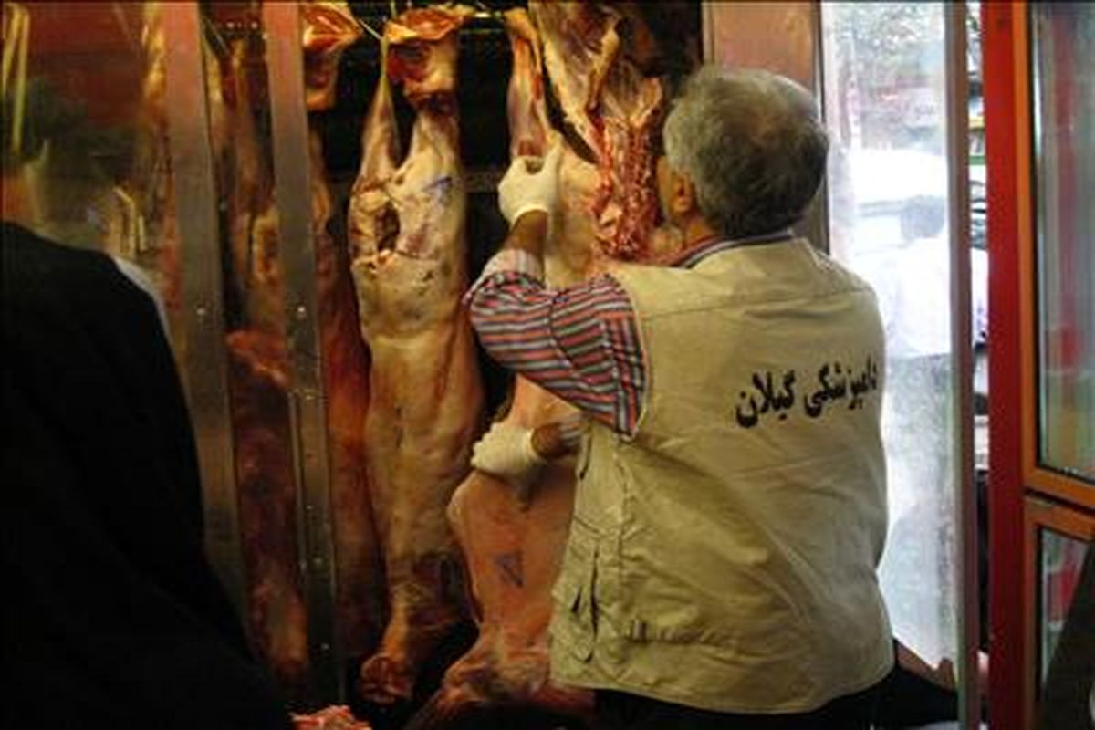 طرح تشديد دامپزشکي رشت