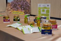 تولید 5 محصول فناورانه سلامت در دانشگاه علوم پزشکی گیلان/کامپوزیت مکمل های دارویی در مرحله اولیه تولید