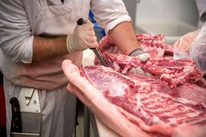 گوشت قرمز در  اهواز ممنوع نیست