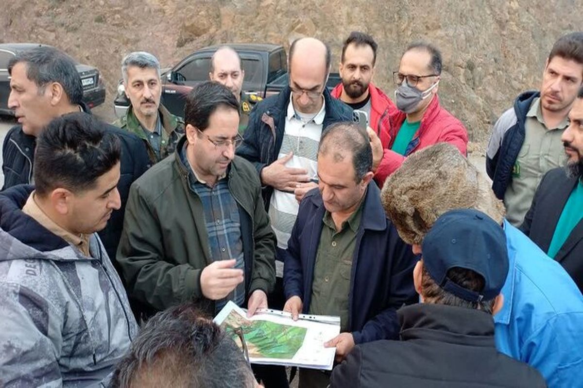 رضا افلاطونی