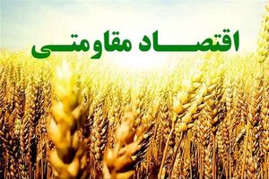 اقتصاد مقاومتی اقتصادی ریاضتی نیست/ قاچاق و رانت مانع اصلی اقتصاد مقاومتی