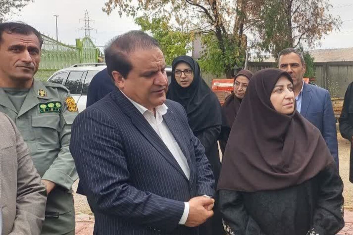 بازدید