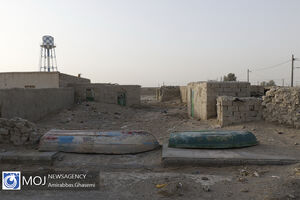 هامون نشینان در رویای آب