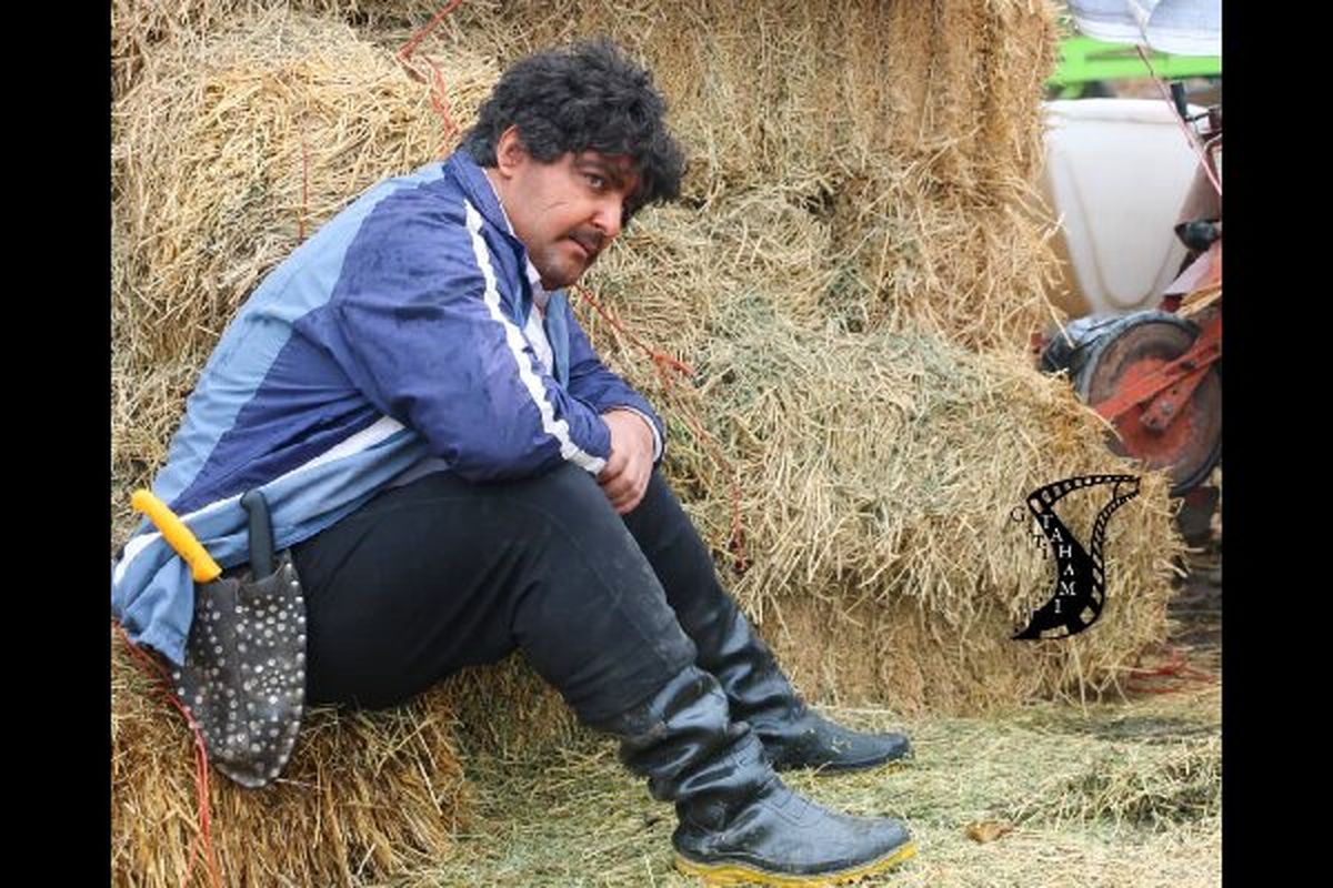 فیلم کوتاه گوسفند