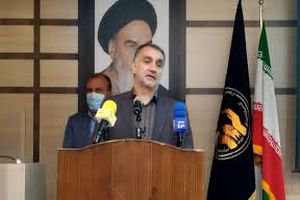 طرح جهش تولید در دیمزارها امیدبخش حوزه کشاورزی ایلام است