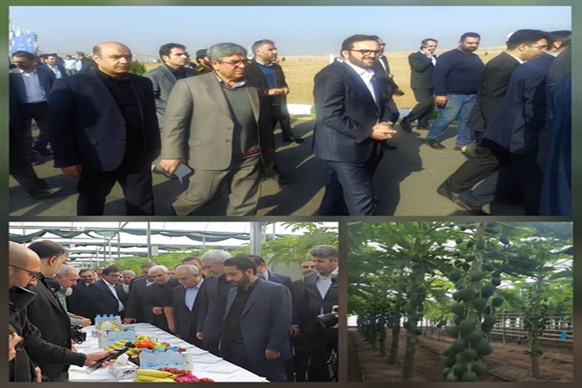 بانک کشاورزی
