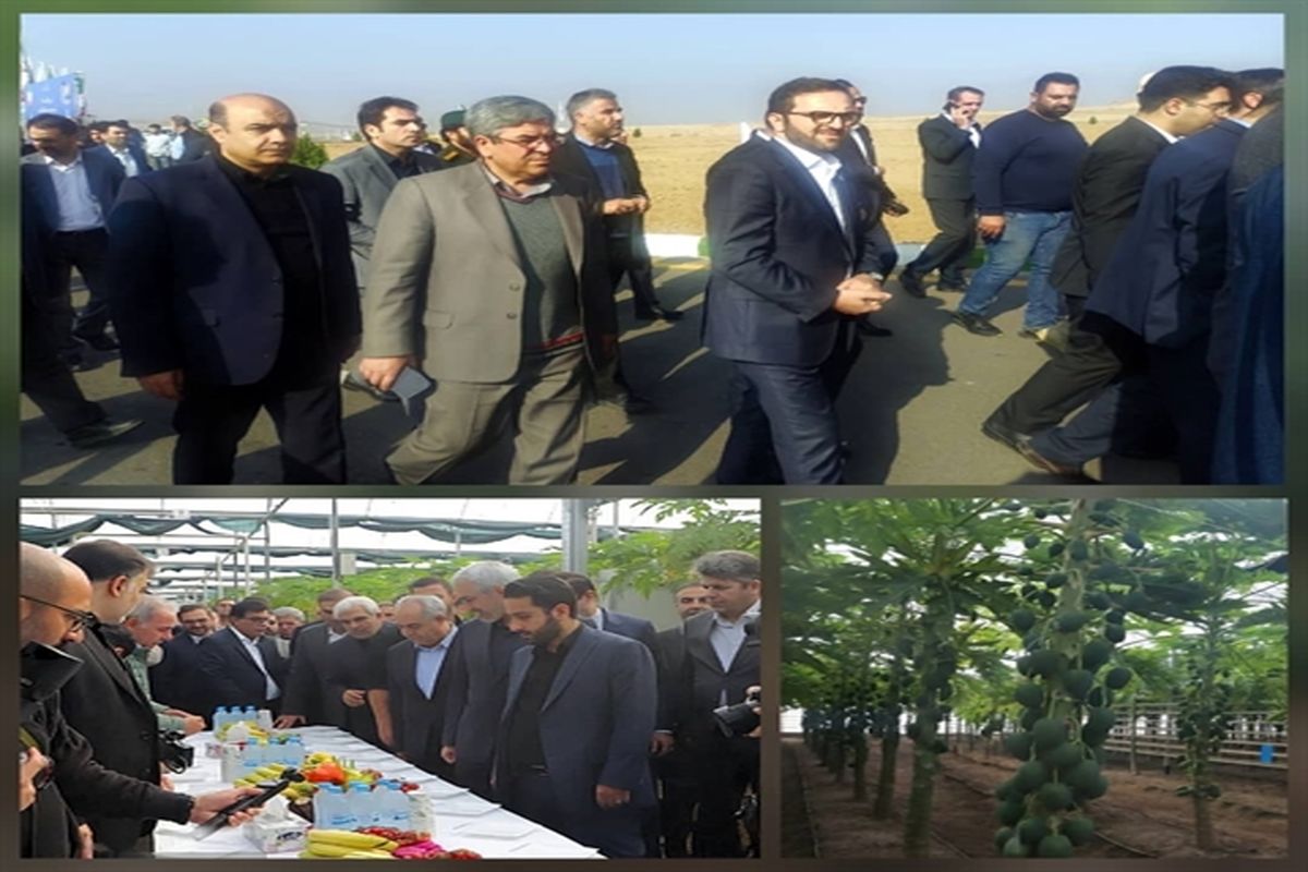 بانک کشاورزی