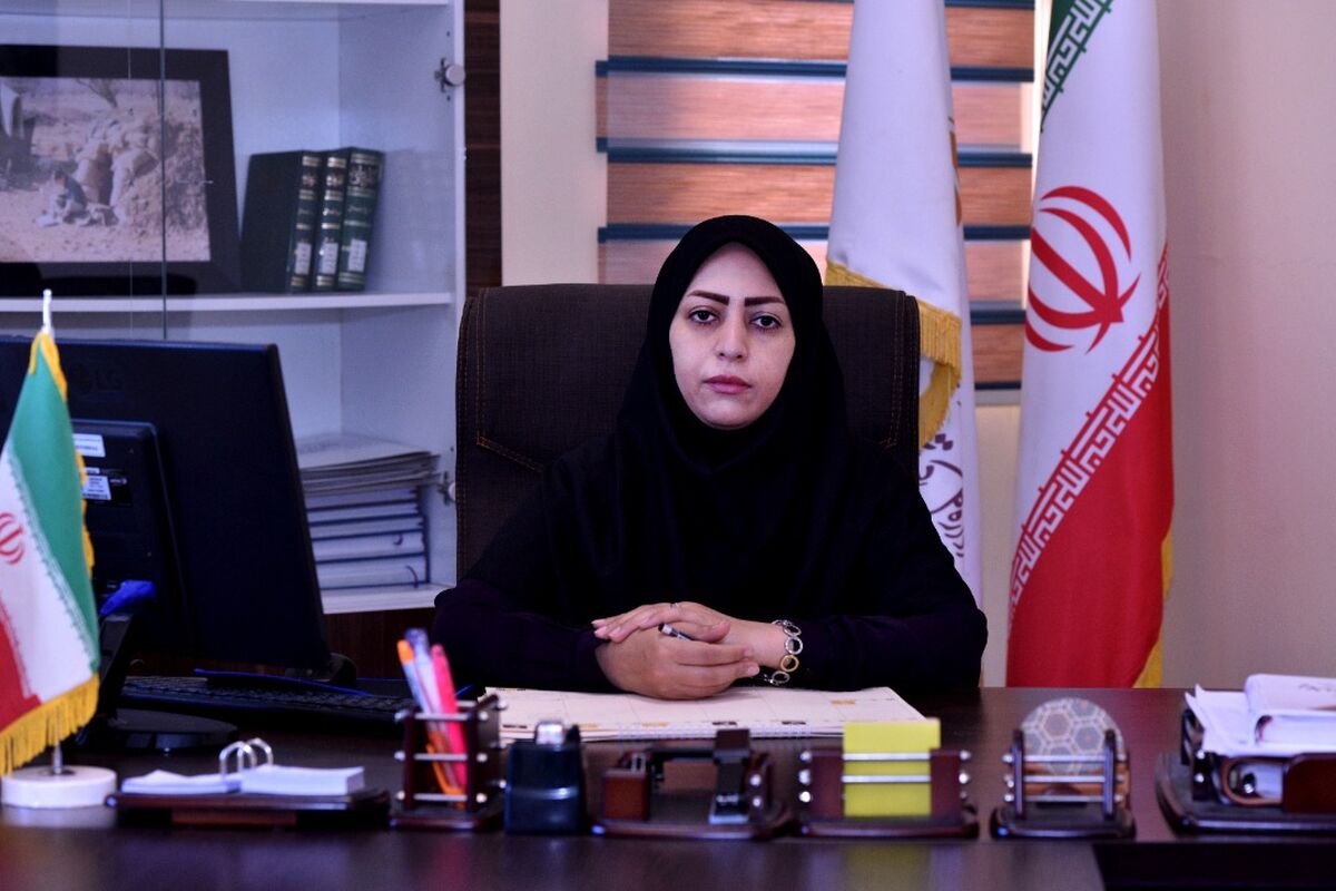سمیه حیدری . کتابخانه ها