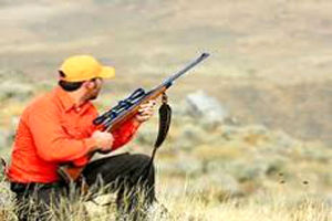 ۳۴ متخلف شکار در مازندران دستگیر شدند