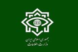۲۱ مزدور موساد و ۴ شرور مسلح در کرمان بازداشت شدند