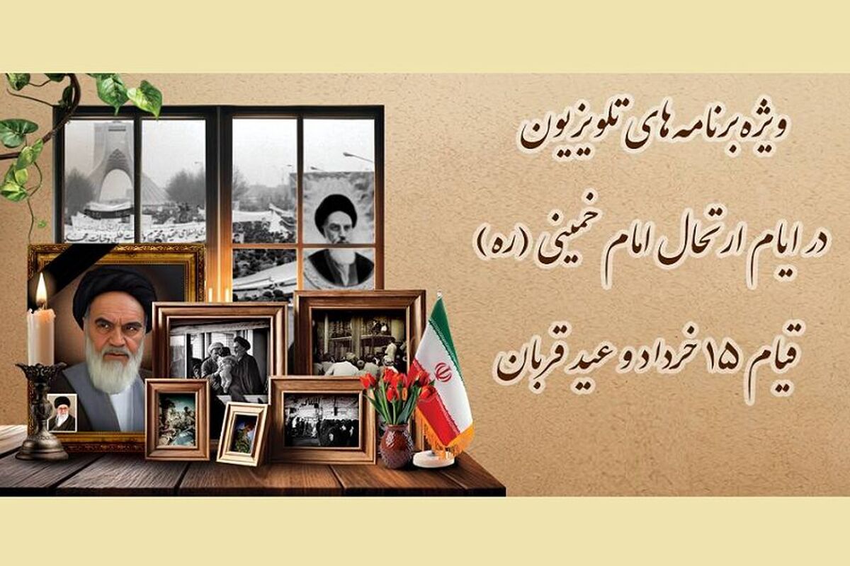 تلویزیون