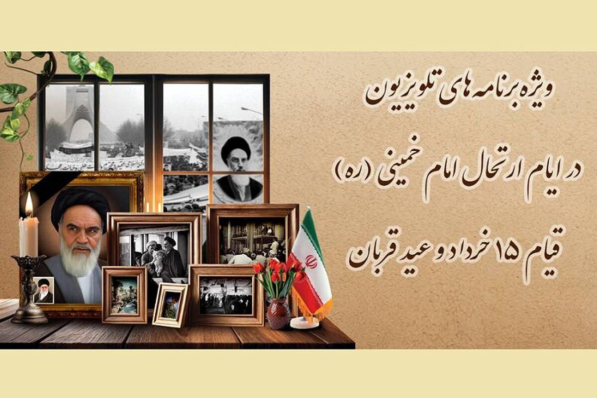 تلویزیون