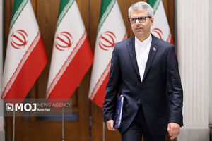 تصویر سخنگوی وزارت خارجه در نگین خلیج فارس