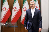 تصویر سخنگوی وزارت خارجه در نگین خلیج فارس