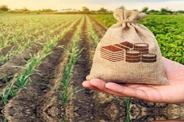 سهم صندوق بیمه کشاورزی در بودجه ۱۴۰۵ تعیین شد