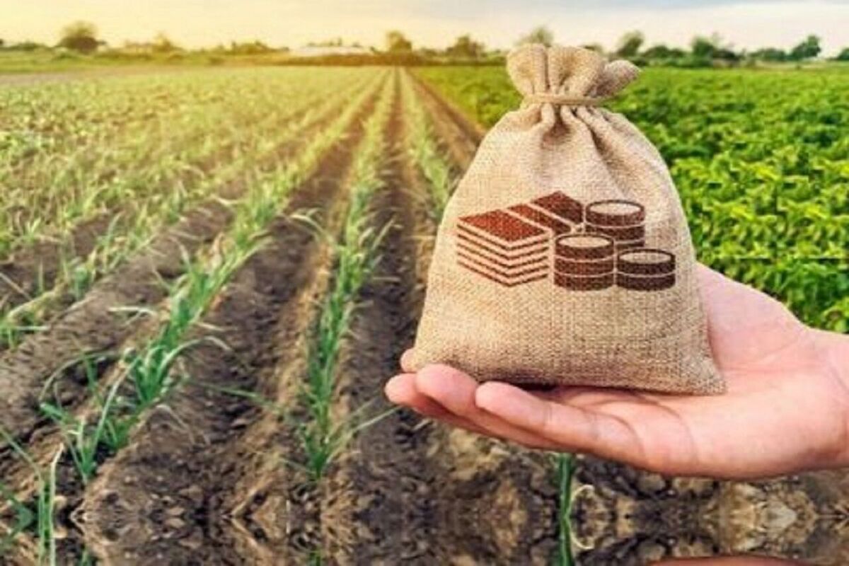 صندوق بیمه کشاورزی