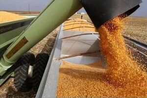 حمل مصالح ساختمانی نسبت به سال گذشته ۵۸ درصد و حمل گندم ۴۱ درصد رشد داشته است
