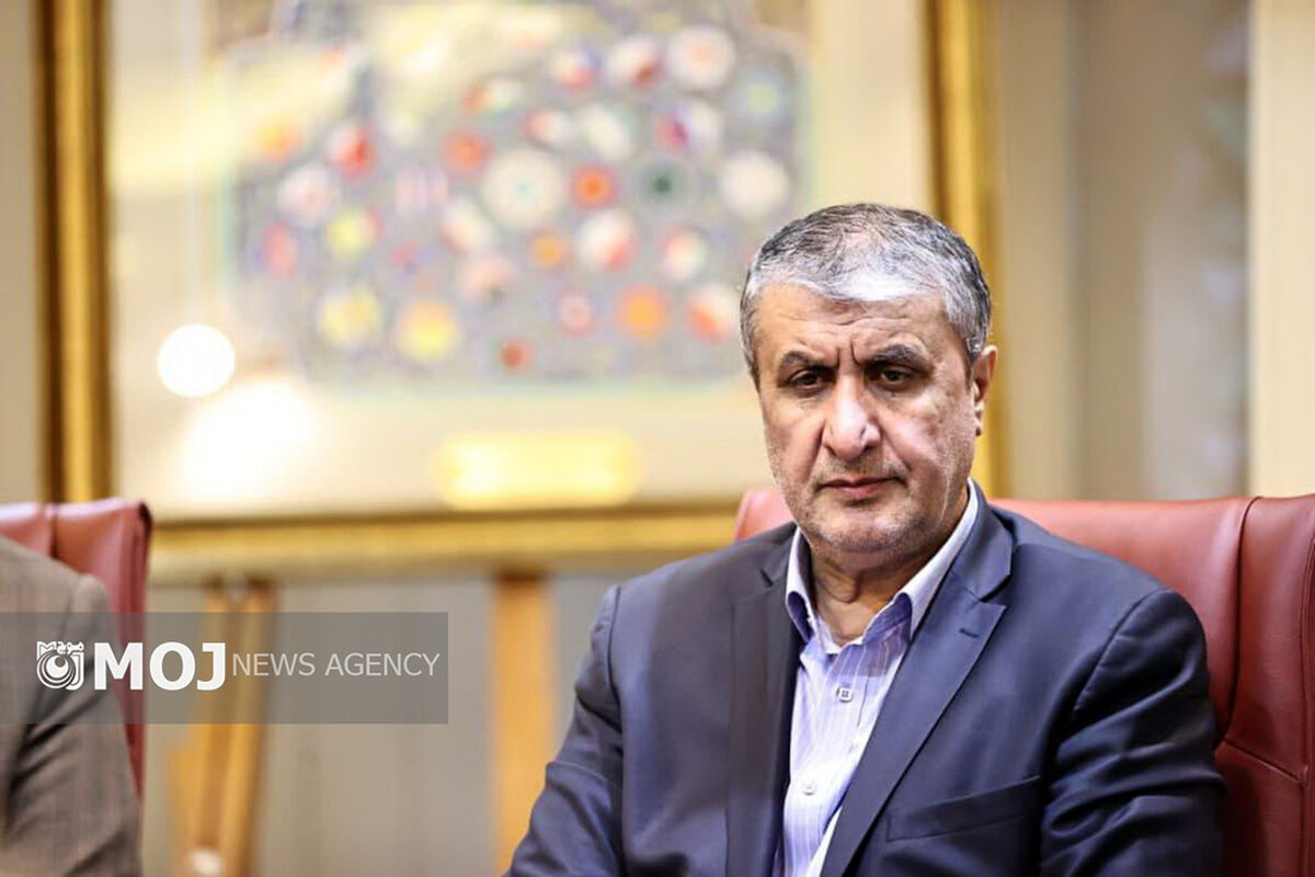 مهندس محمد اسلامی - معاون رئیس‌جمهور و رئیس سازمان انرژی اتمی