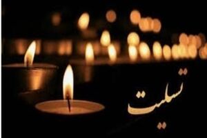 پیام تسلیت مدیرعامل شرکت پتروشیمی در پی شهادت رییس‌جمهور