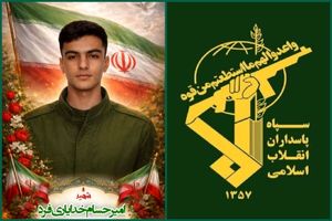 لحظه اعلام خبر شهادت بسیجی کوهدشتی، امیرحسام خدایی‌فر به خانواده‌اش + فیلم