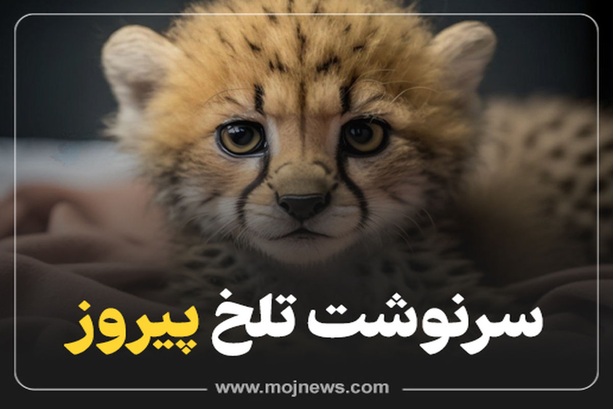 کاور اینفو2 578587