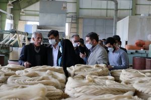 100 درصد مواد اولیه فرش در کشور تأمین می‌شود