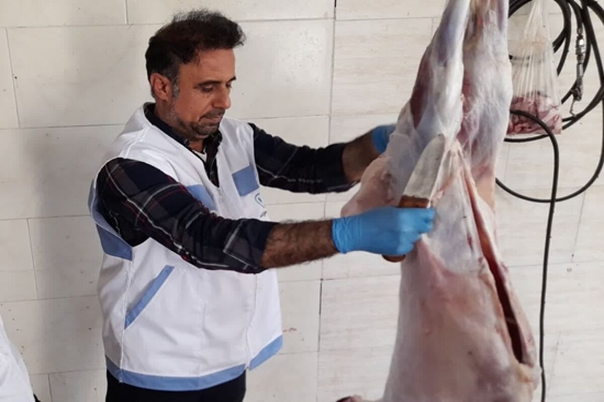 بازرسی دام